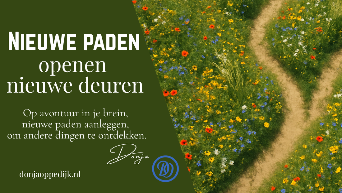 Nieuwe paden